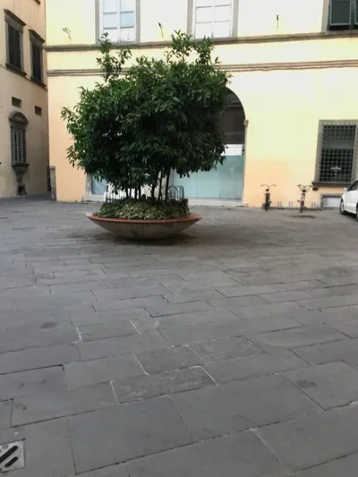 Grazioso monolocale – 照片 5